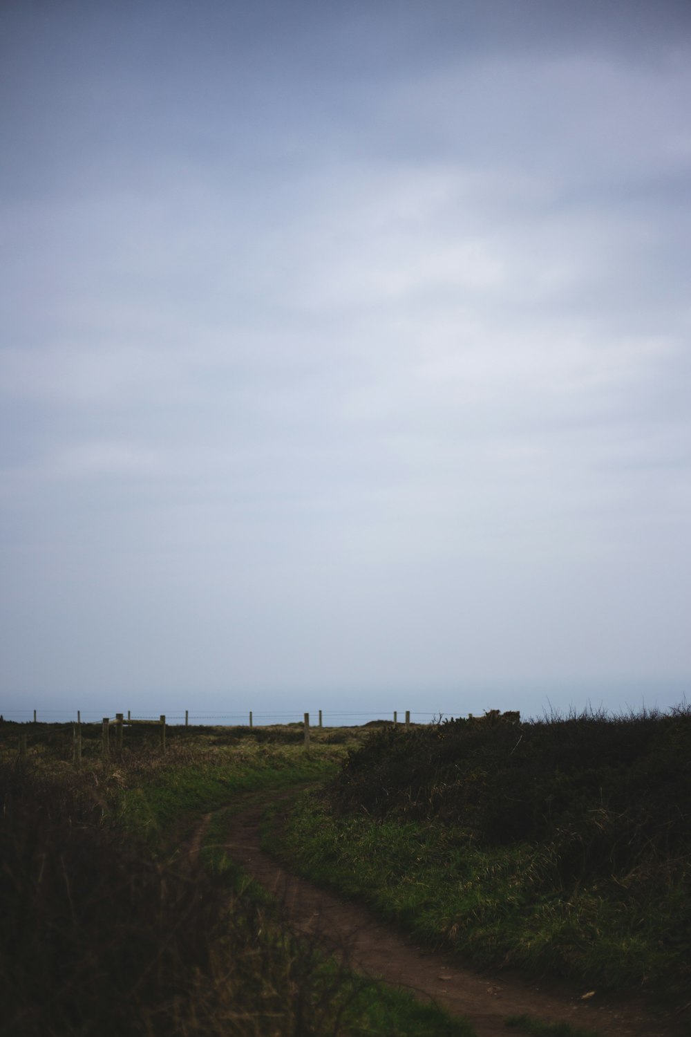 a dirt path in a grassy field under a cloudy sky