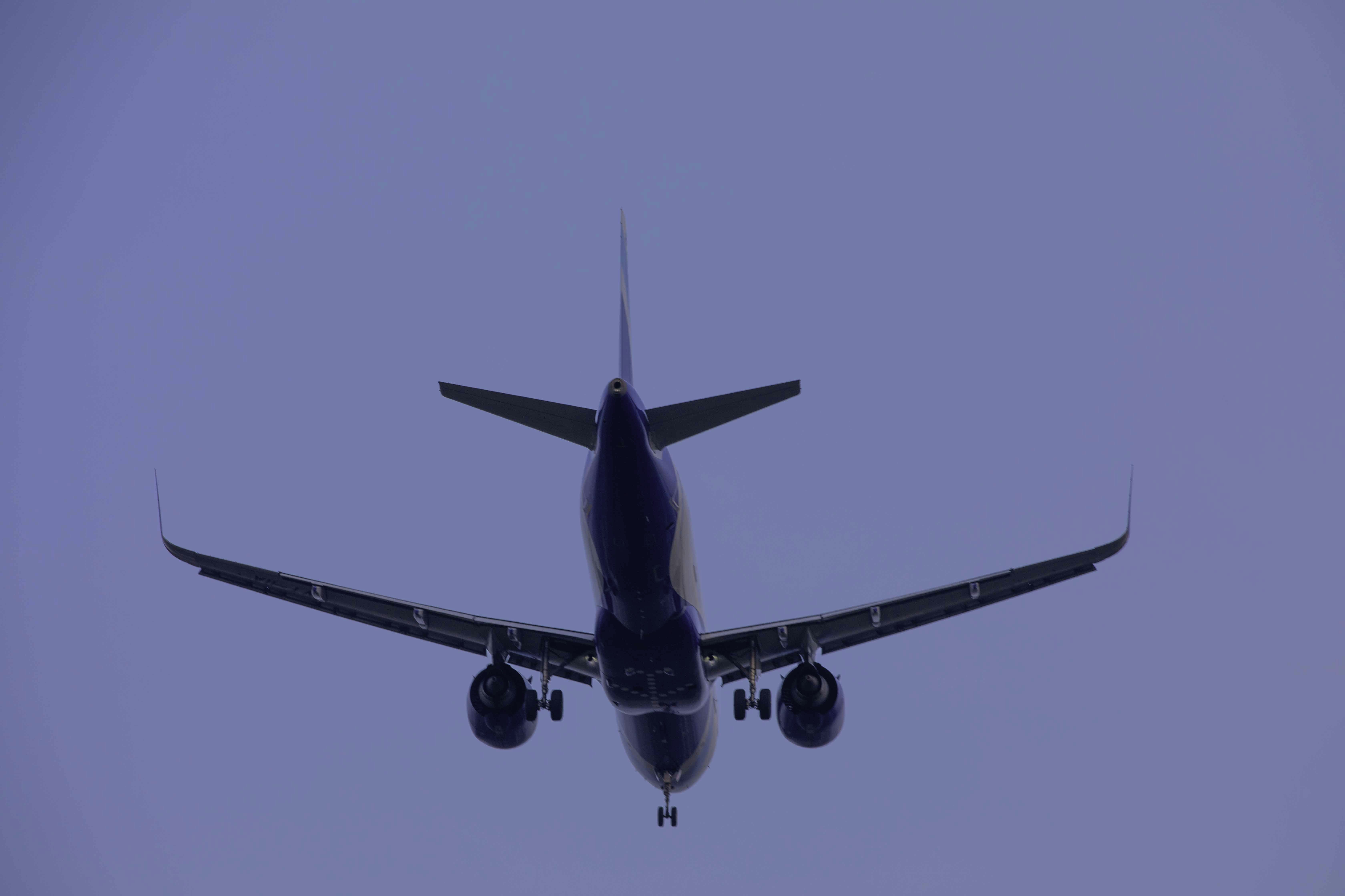 Photo by anil_sharma_india