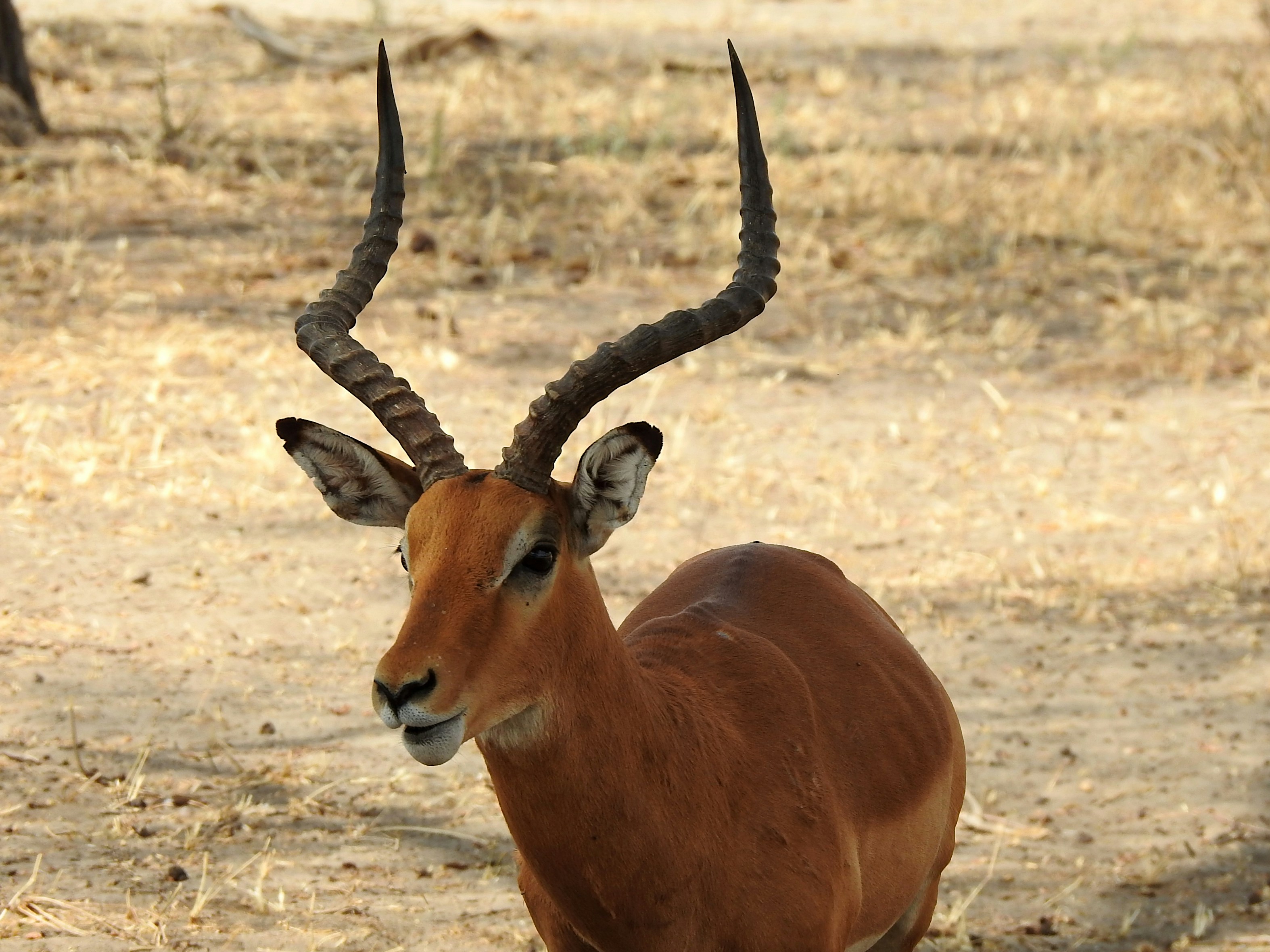 Photo by artemisdesign