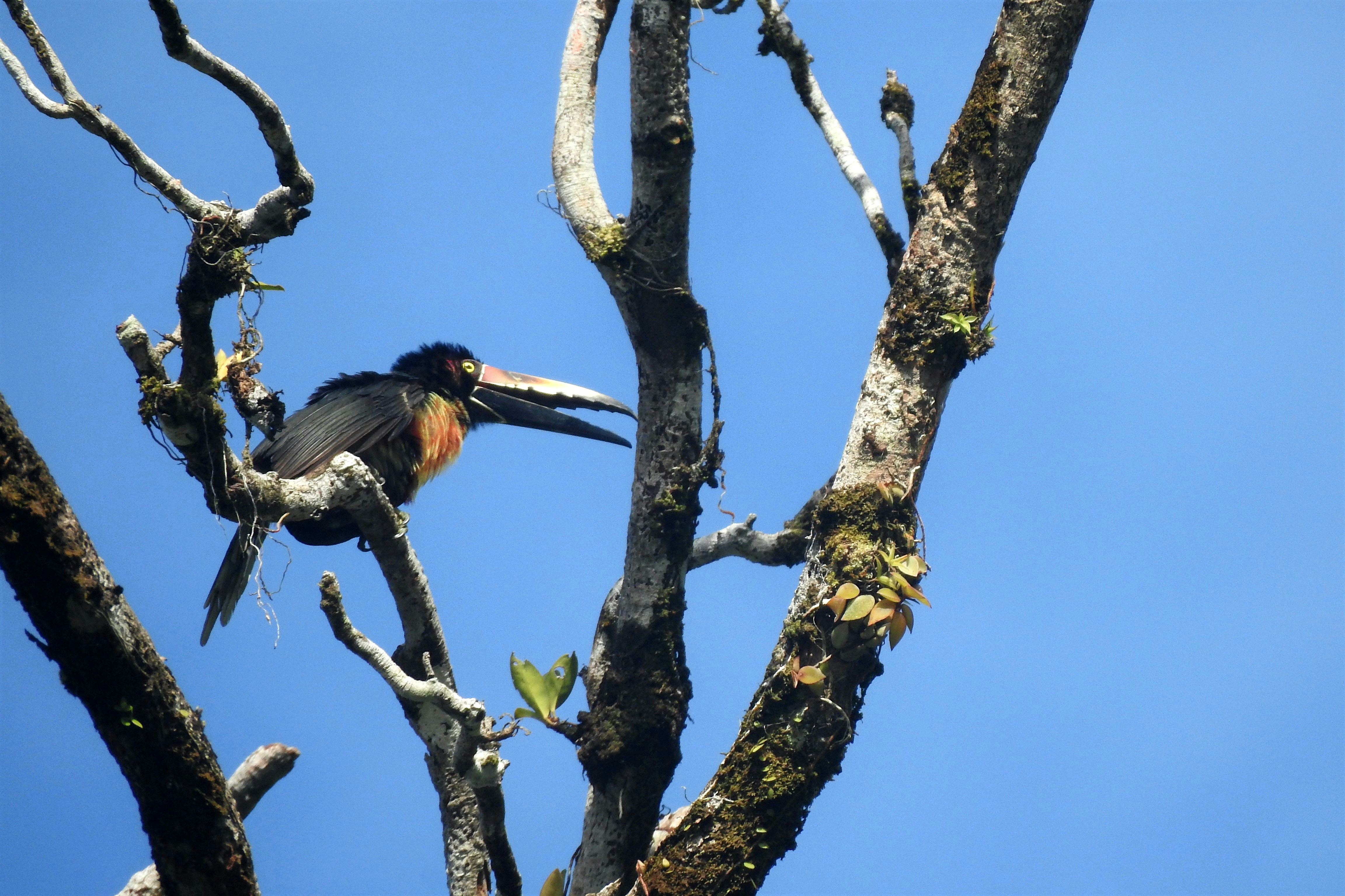 Photo by artemisdesign