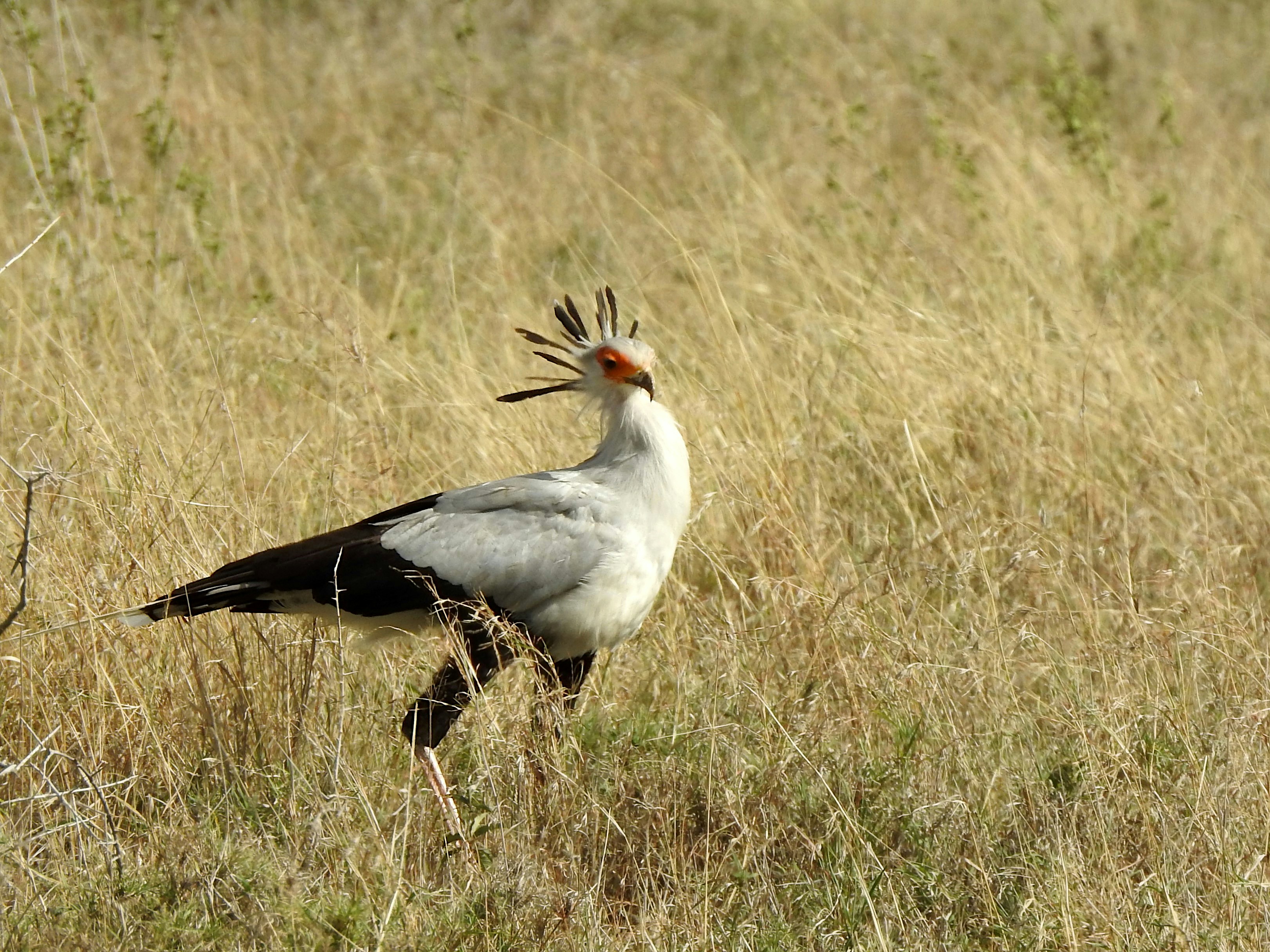 Photo by artemisdesign