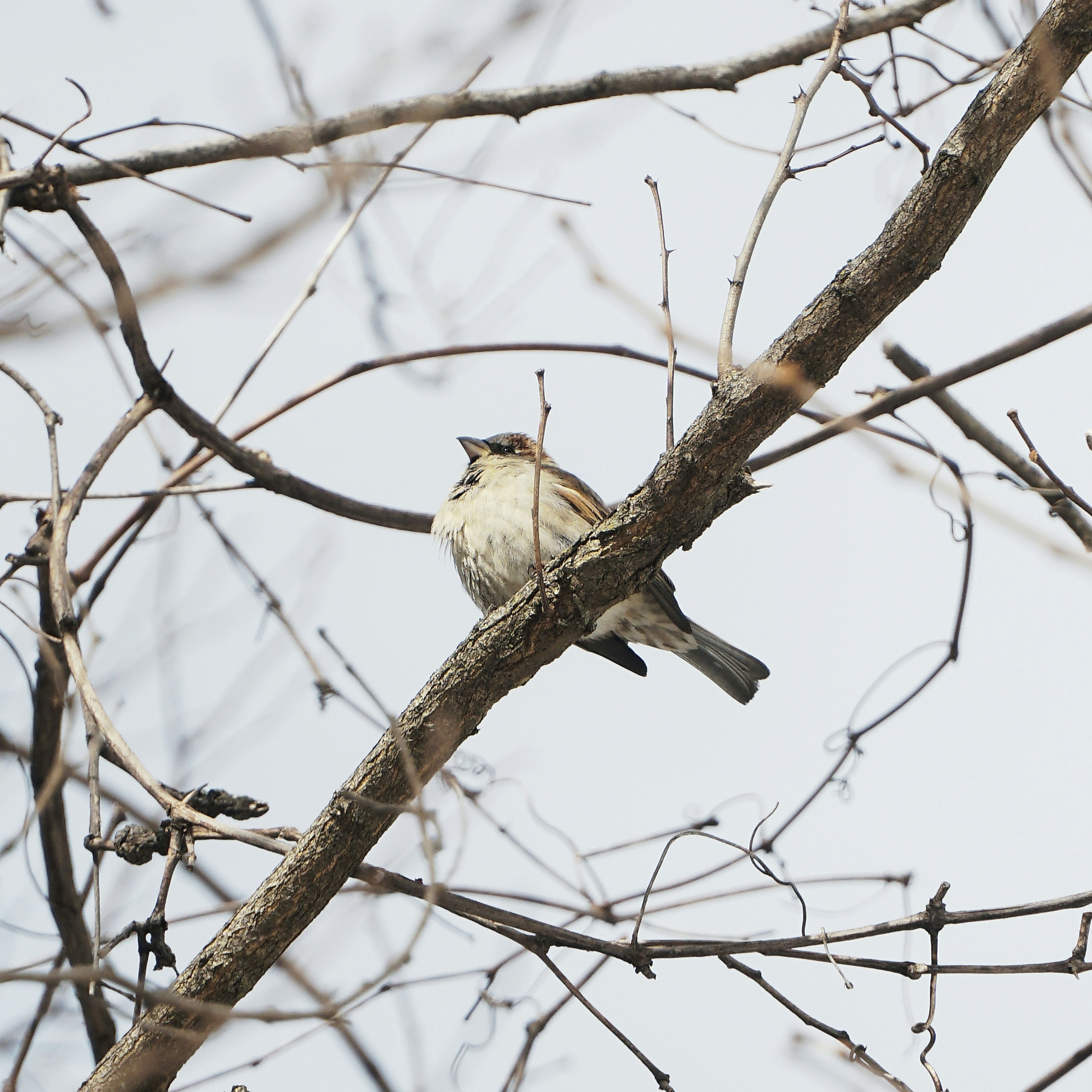 Photo by mrgreatheart