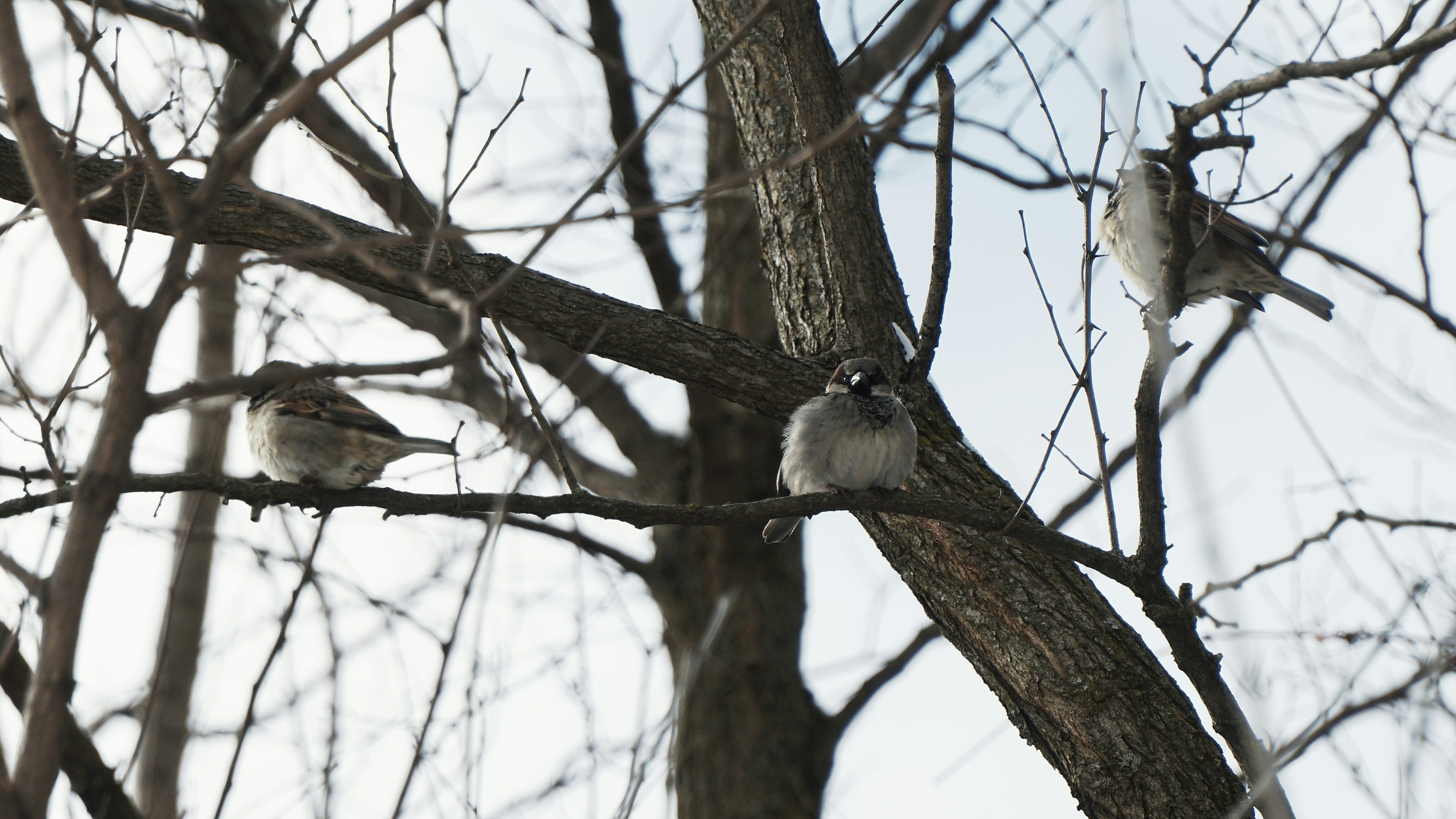 Photo by mrgreatheart