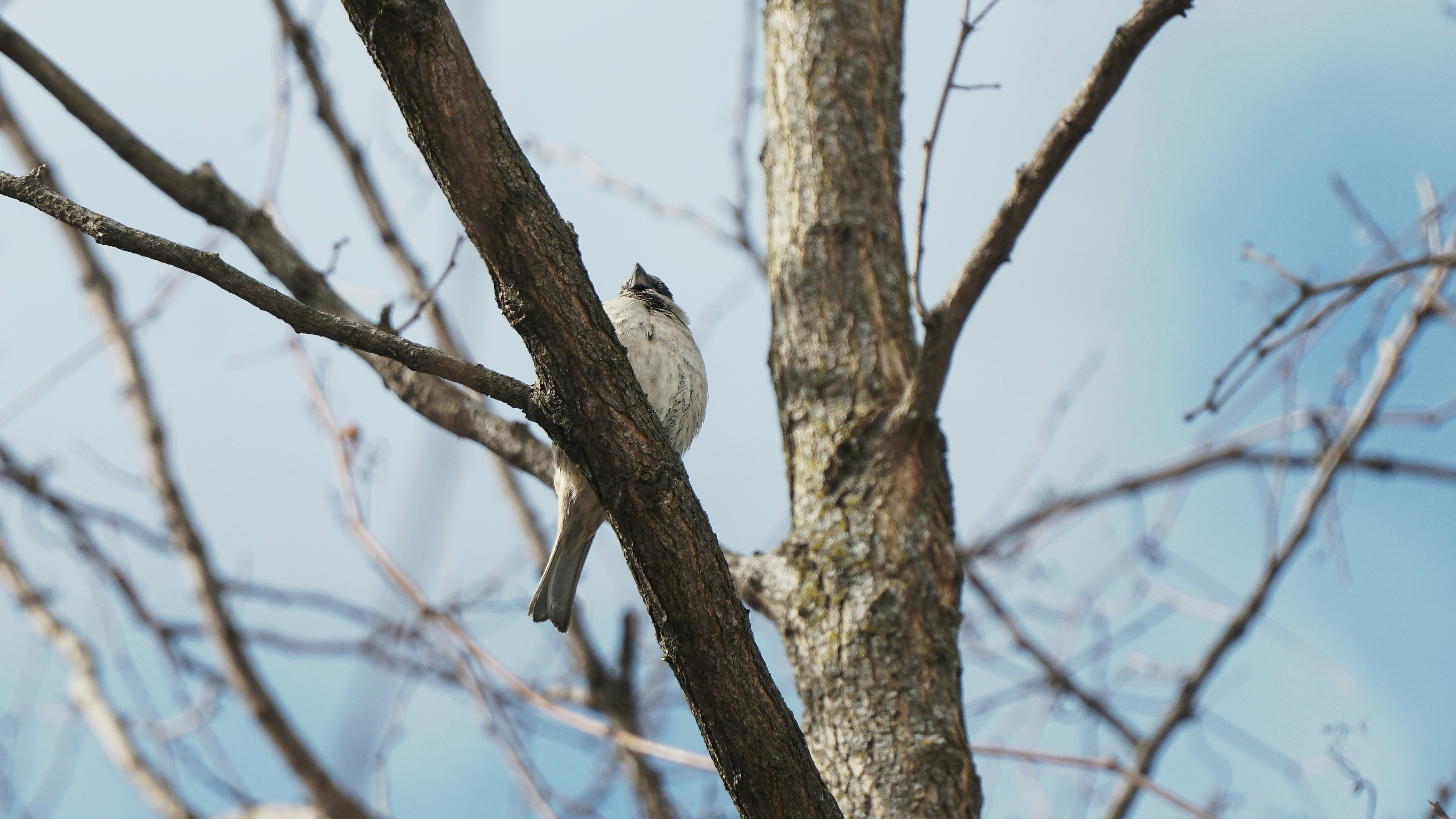 Photo by mrgreatheart