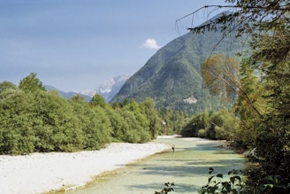 Fisherman casting a line into a clear river surrounded by lush greenery.