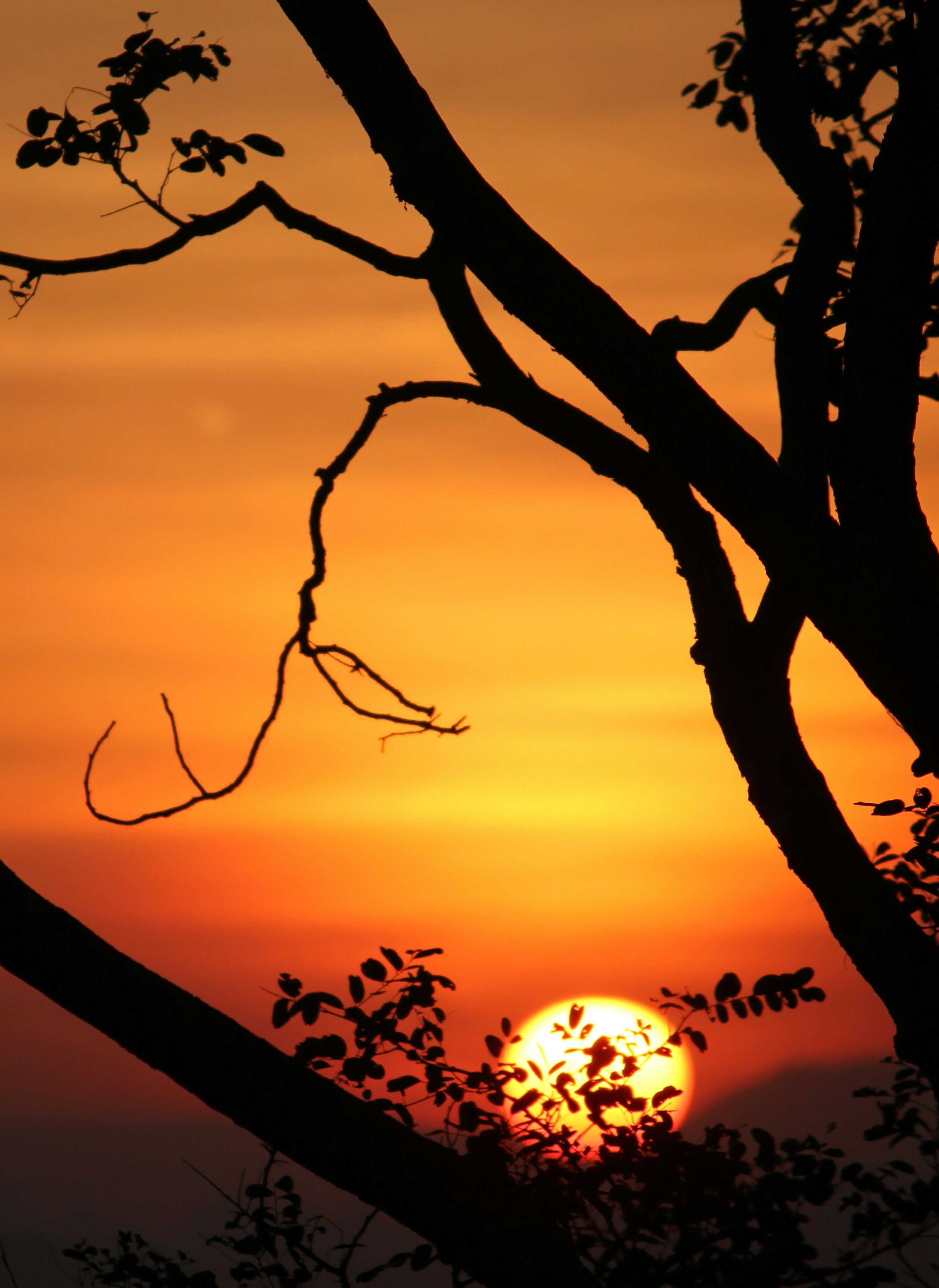 Photo by amolvalimbe