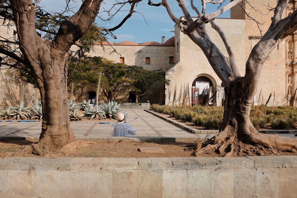 a building with a courtyard and trees in front of it