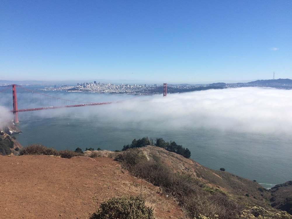 a view of the golden gate bridge from the top of a hill