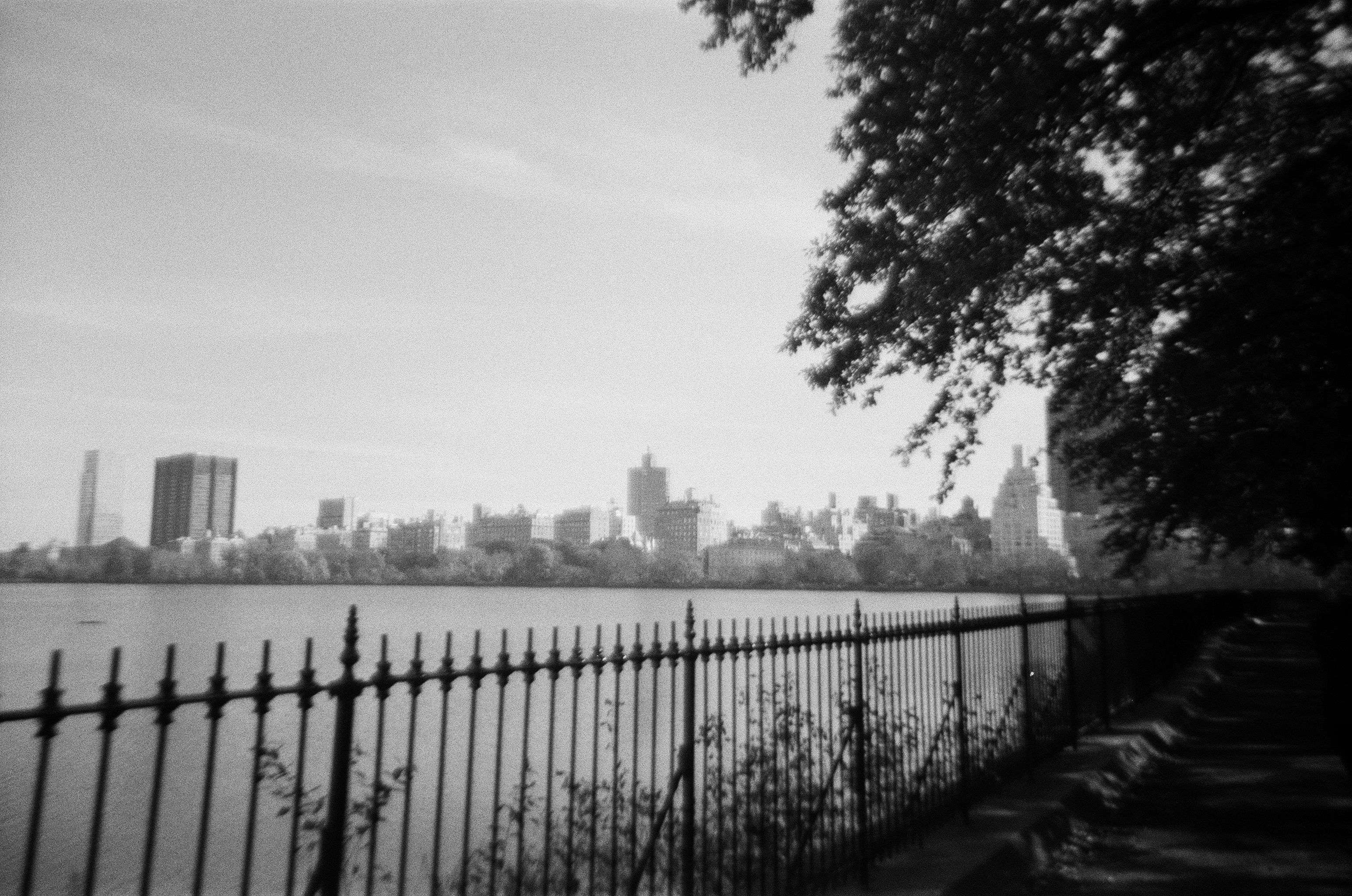 Photo by andrrewphoto