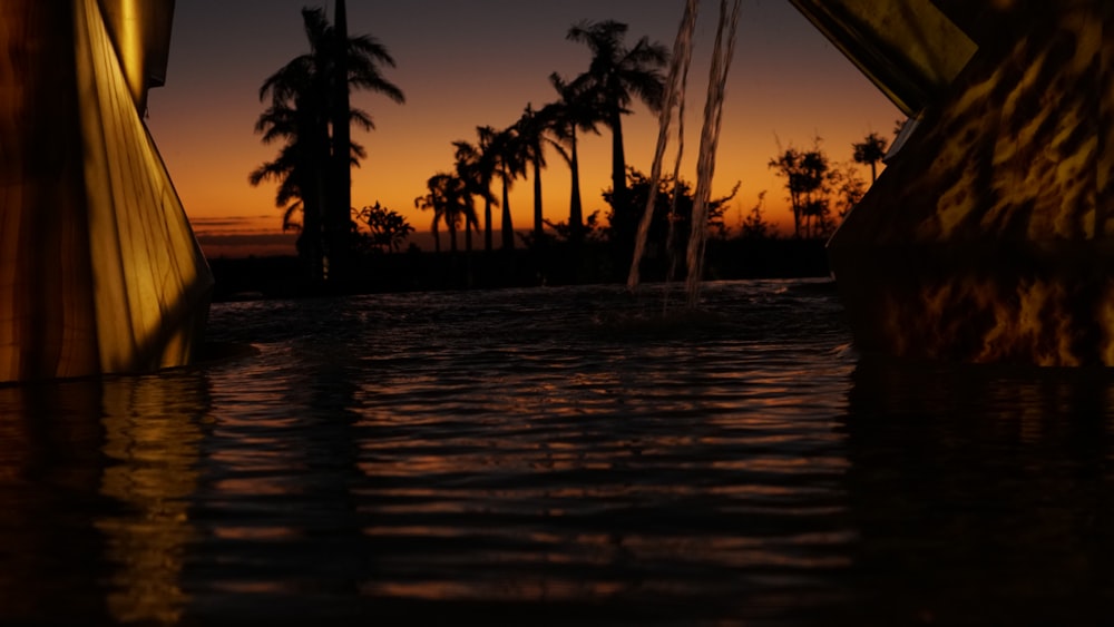 a body of water with palm trees in the background