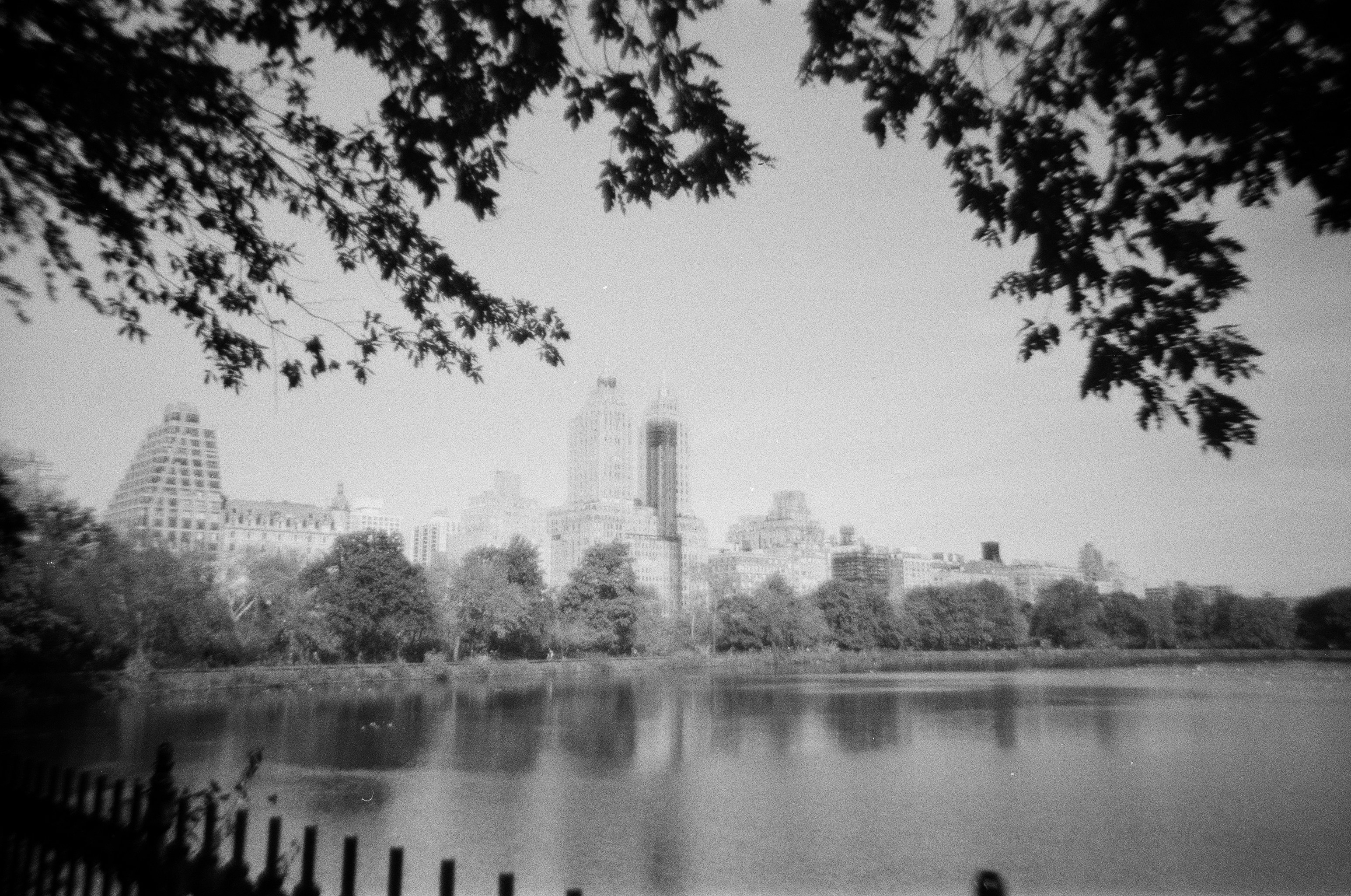 Photo by andrrewphoto