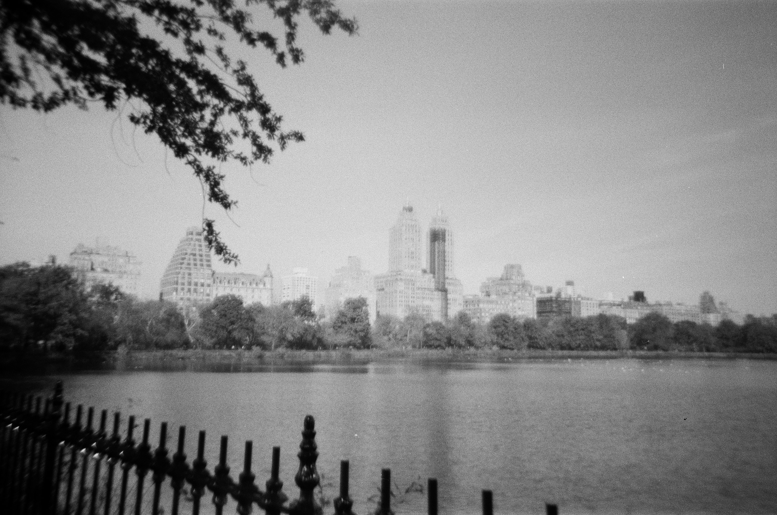 Photo by andrrewphoto