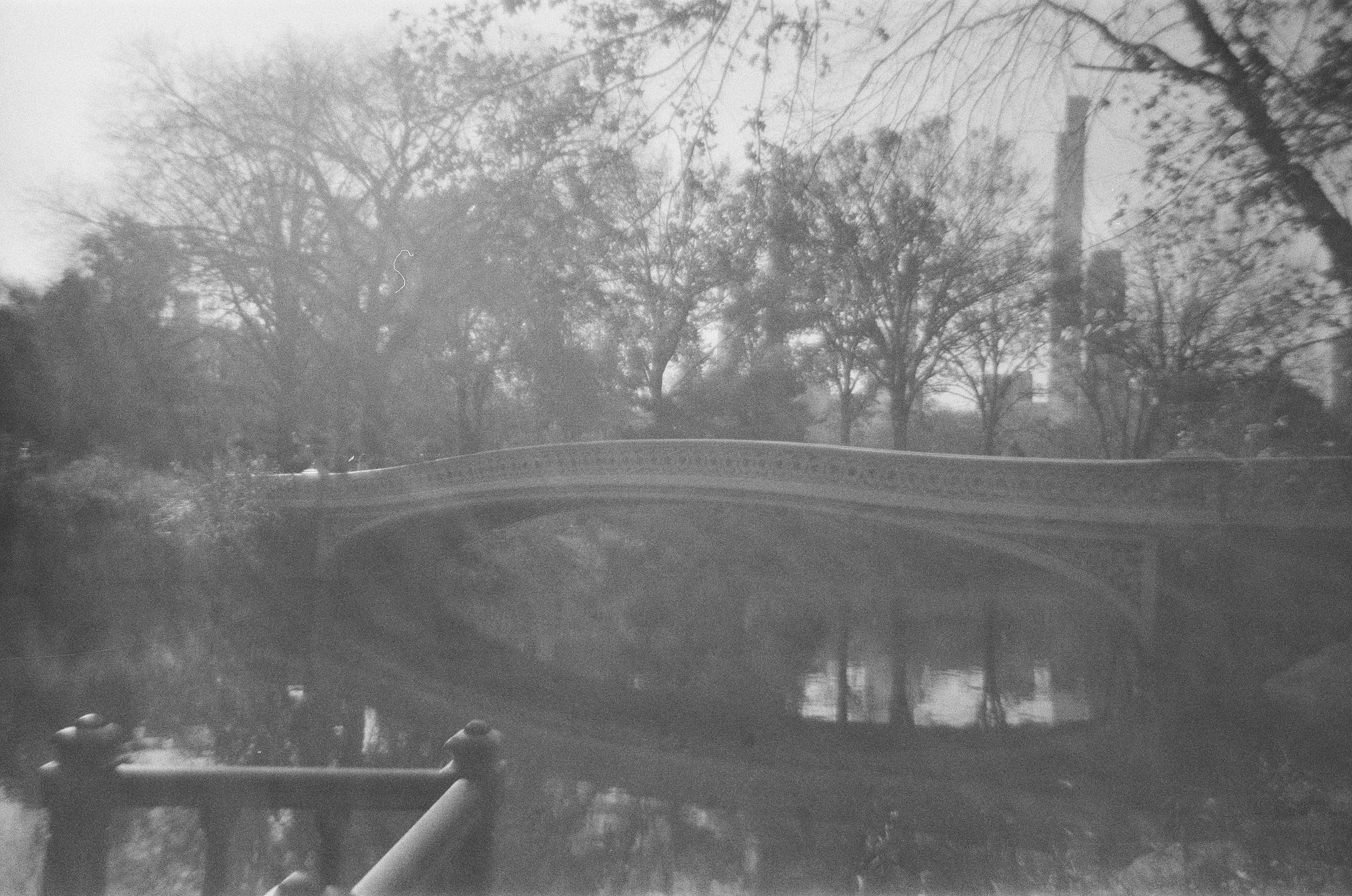 Photo by andrrewphoto