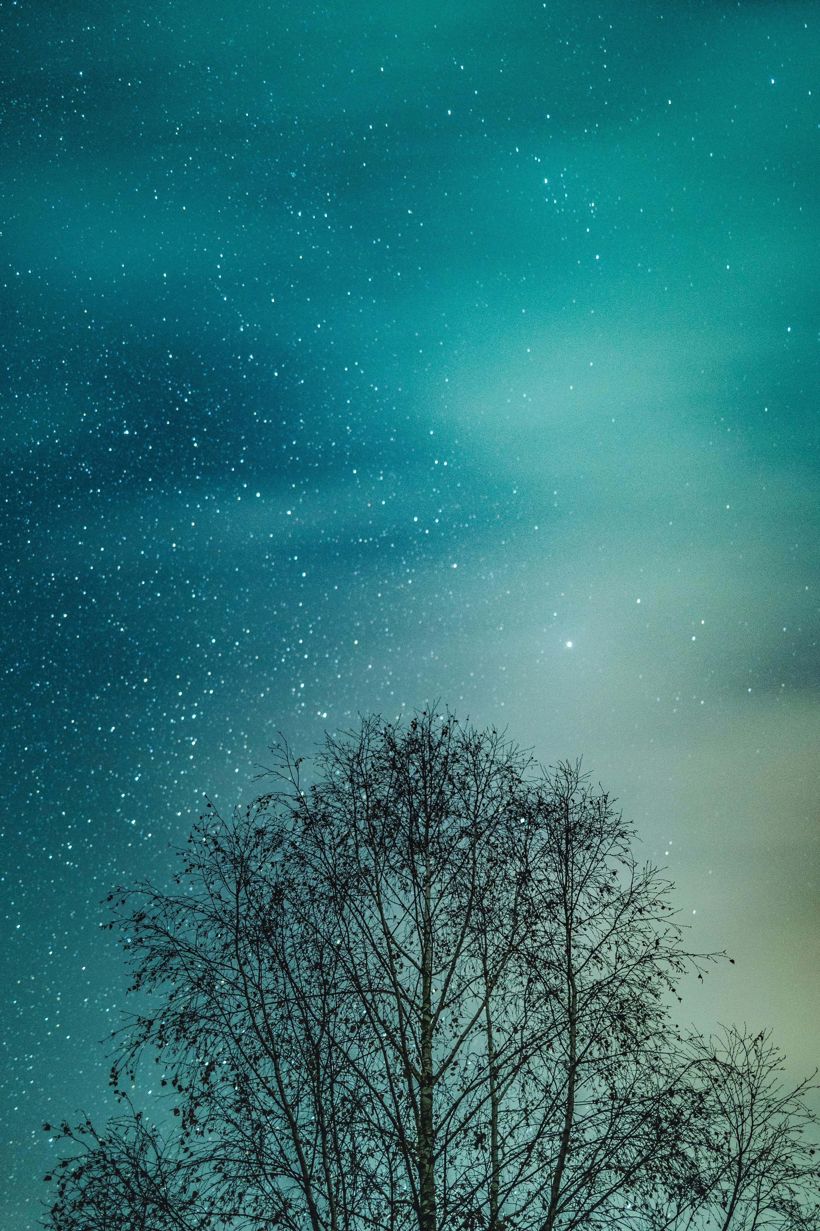 Photo by marekpiwnicki