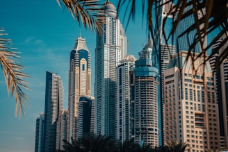 a large group of tall buildings in a city