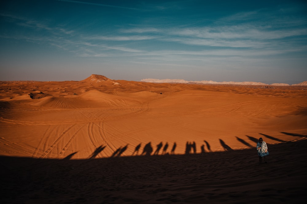 a person standing in the middle of a desert