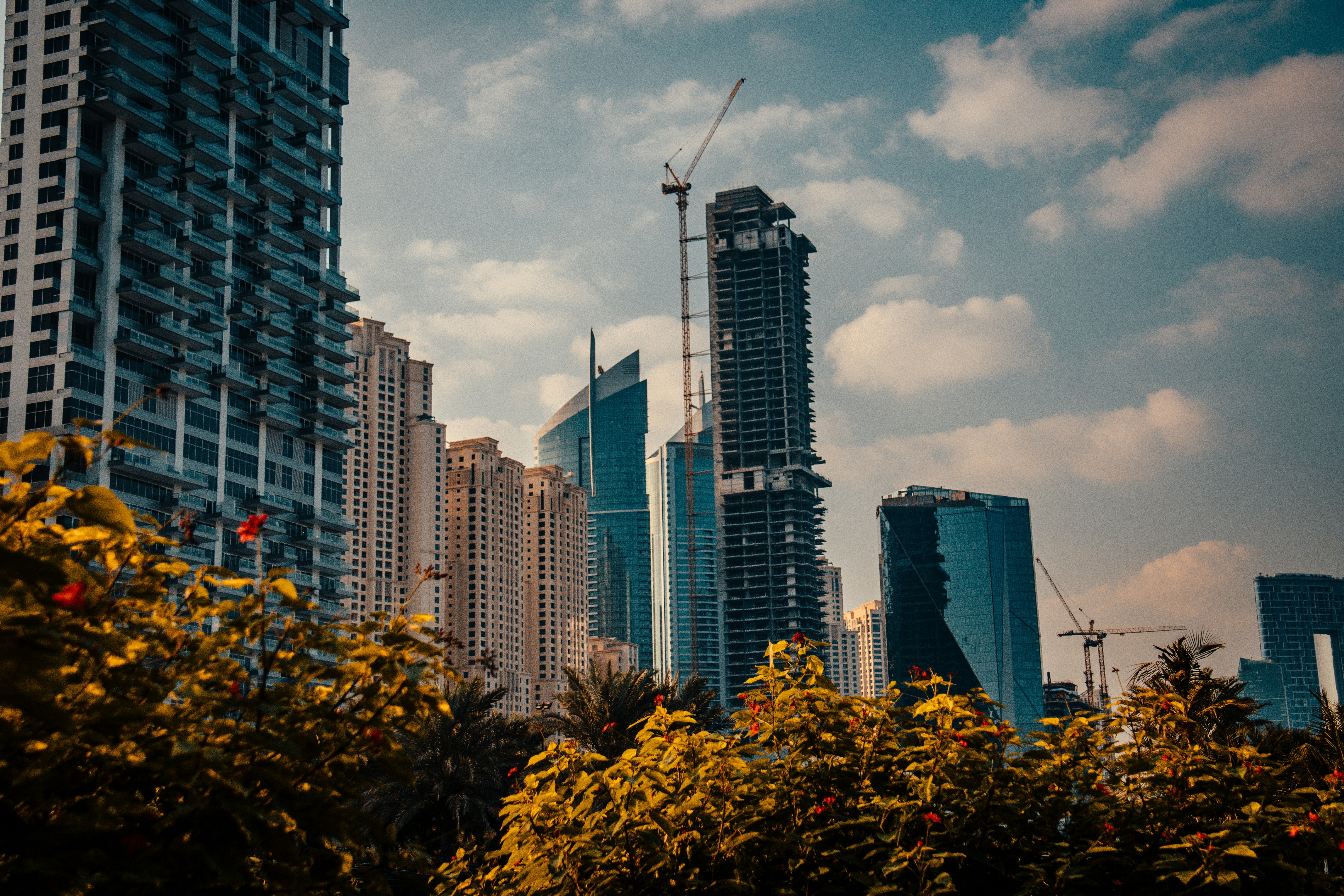 Photo by raimondklavins