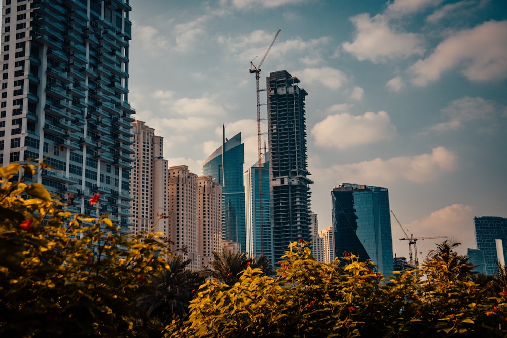 a city skyline with tall buildings under construction