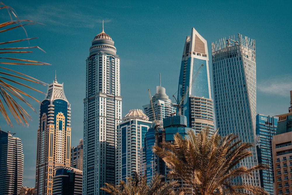 a group of tall buildings with palm trees in front of them