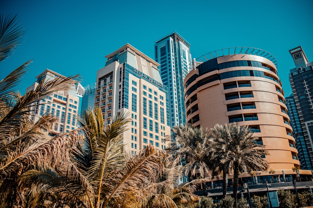 a group of tall buildings with palm trees in front of them