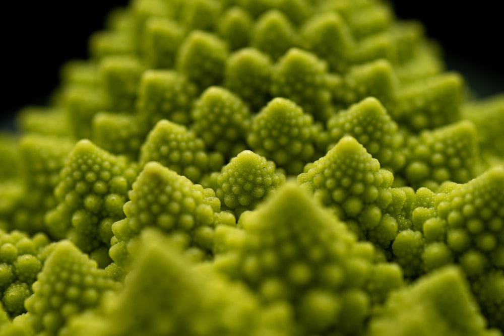 a close up view of a bunch of broccoli