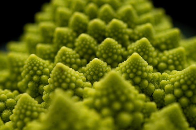 🟢 The Romanesco effect: Reimagining, Diversification, and Reduction.