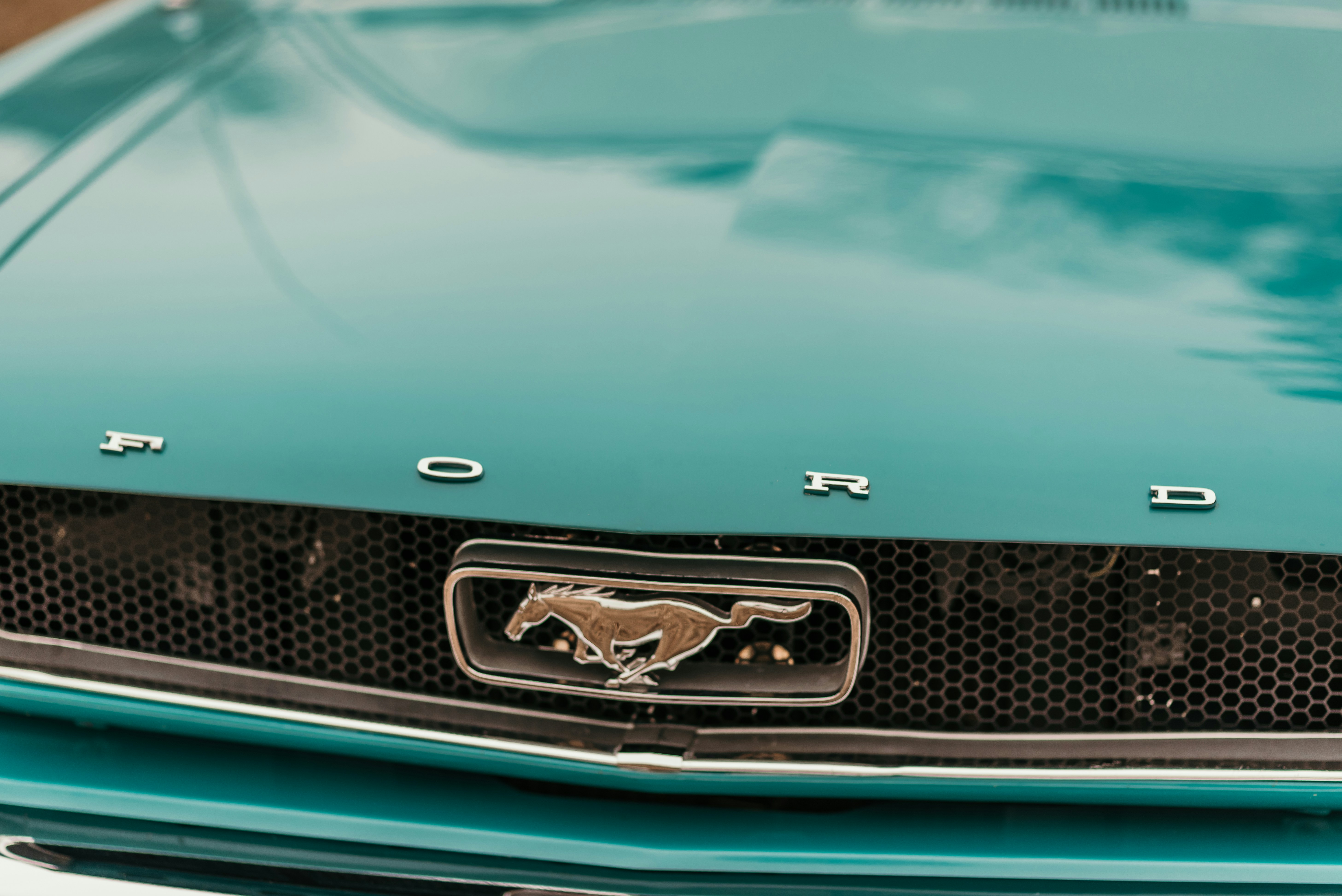 Photo by gabbi_onthego