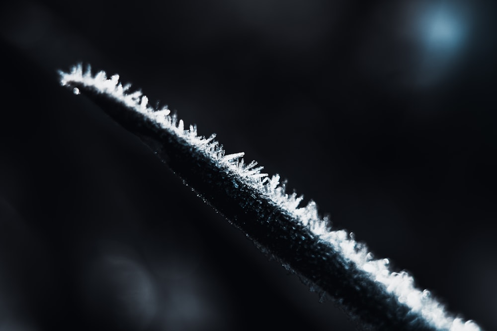 a black and white photo of a long thin piece of ice