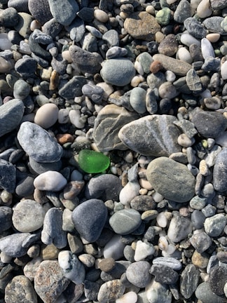 Rare red sea glass fragments nestled among smooth ocean stones by the water's edge.