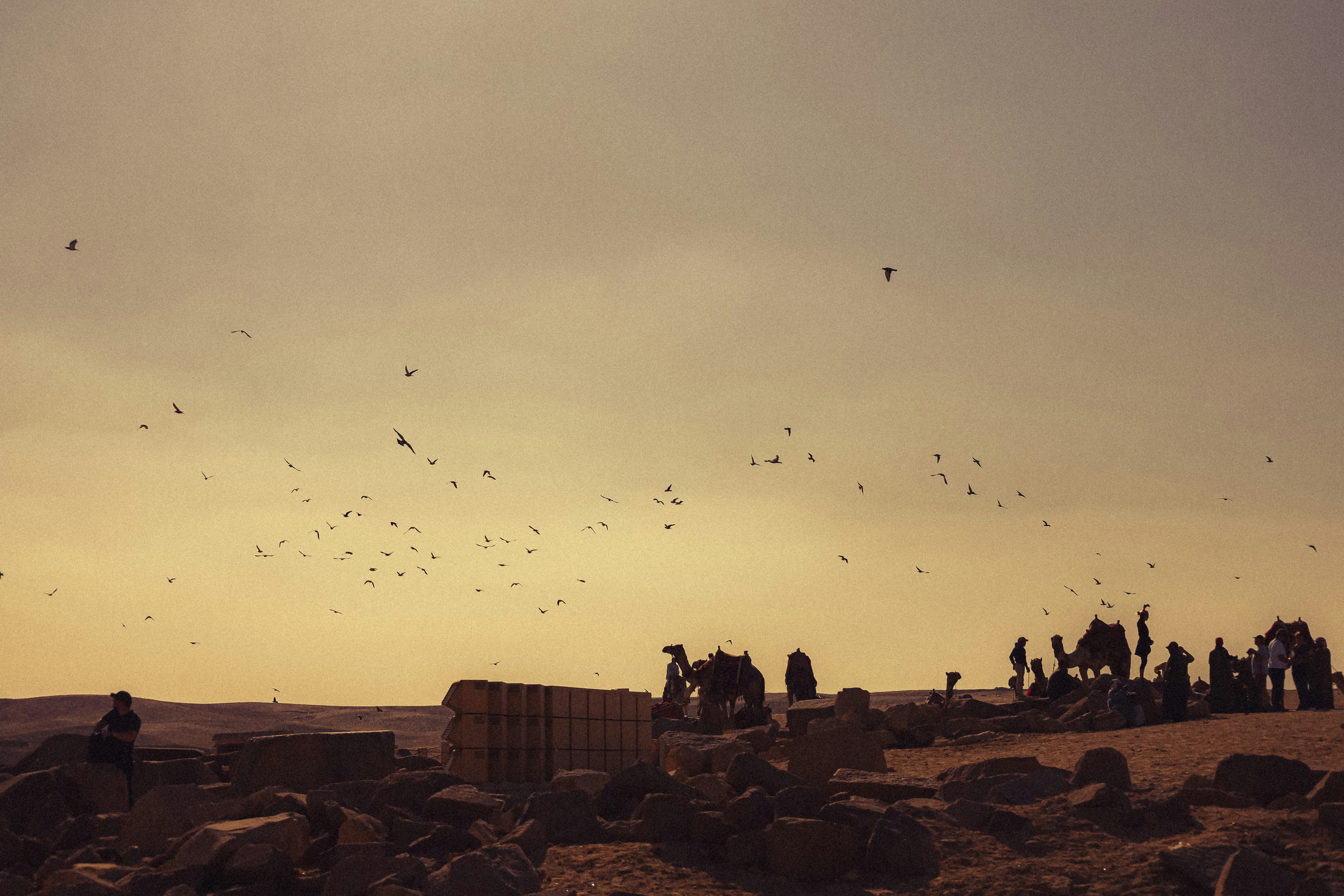 Photo by fez_wee