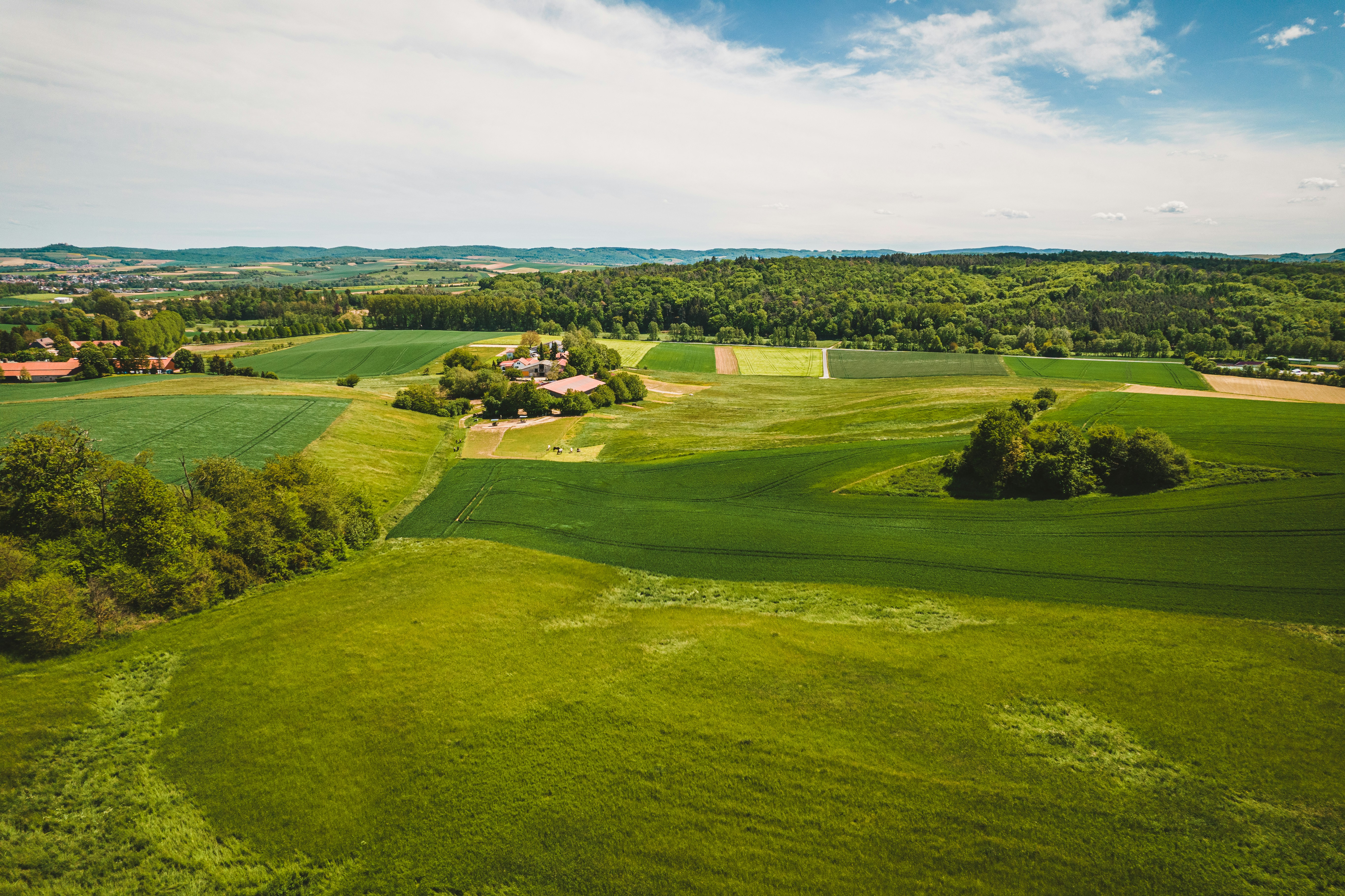 Photo by timonreinhard