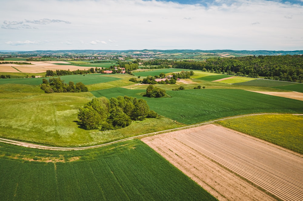 an aerial view of a green field with trees