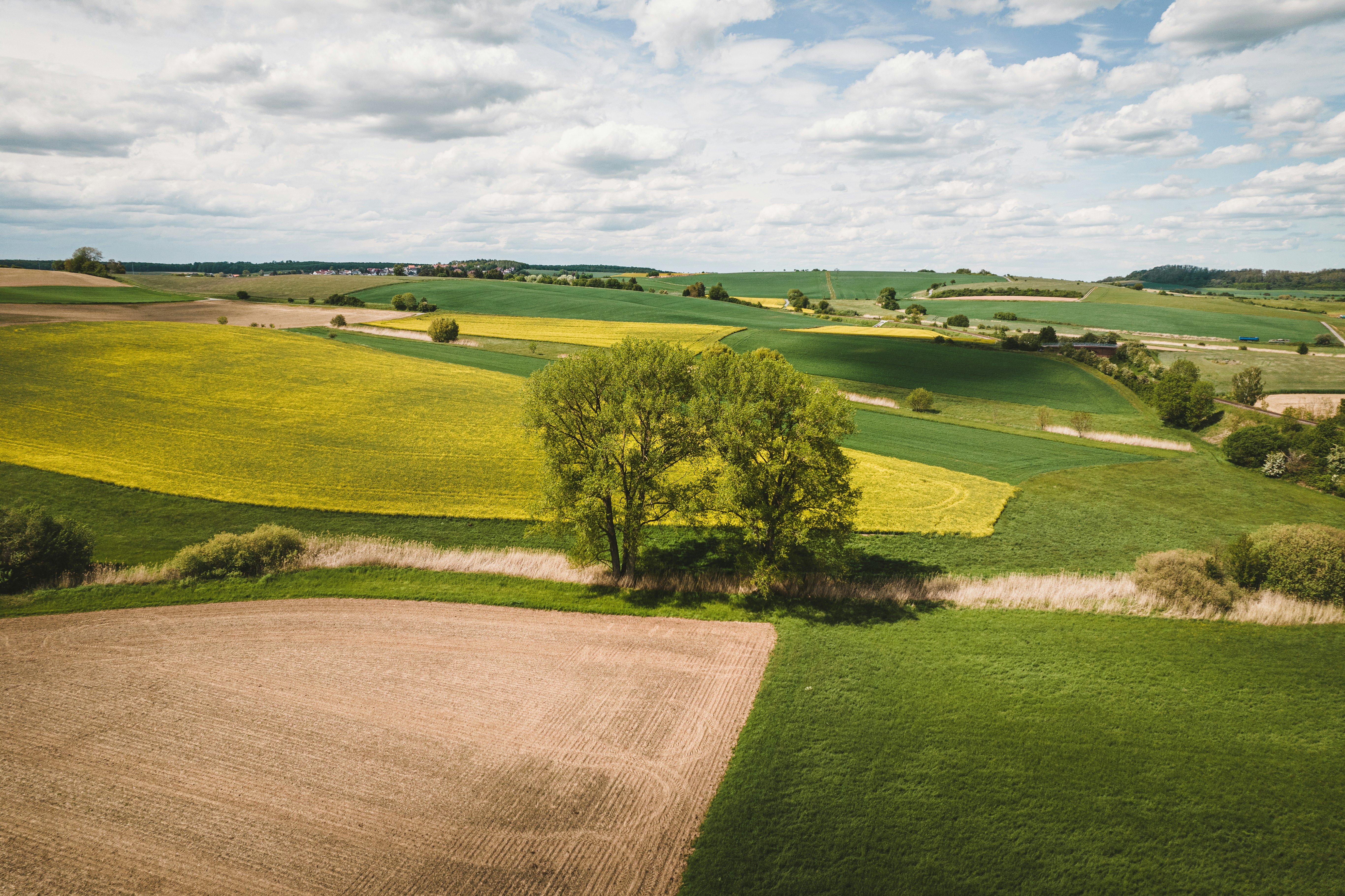 Photo by timonreinhard