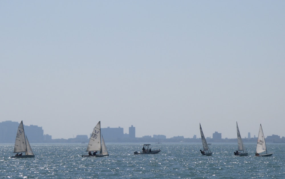a group of sailboats in the ocean with a city in the background