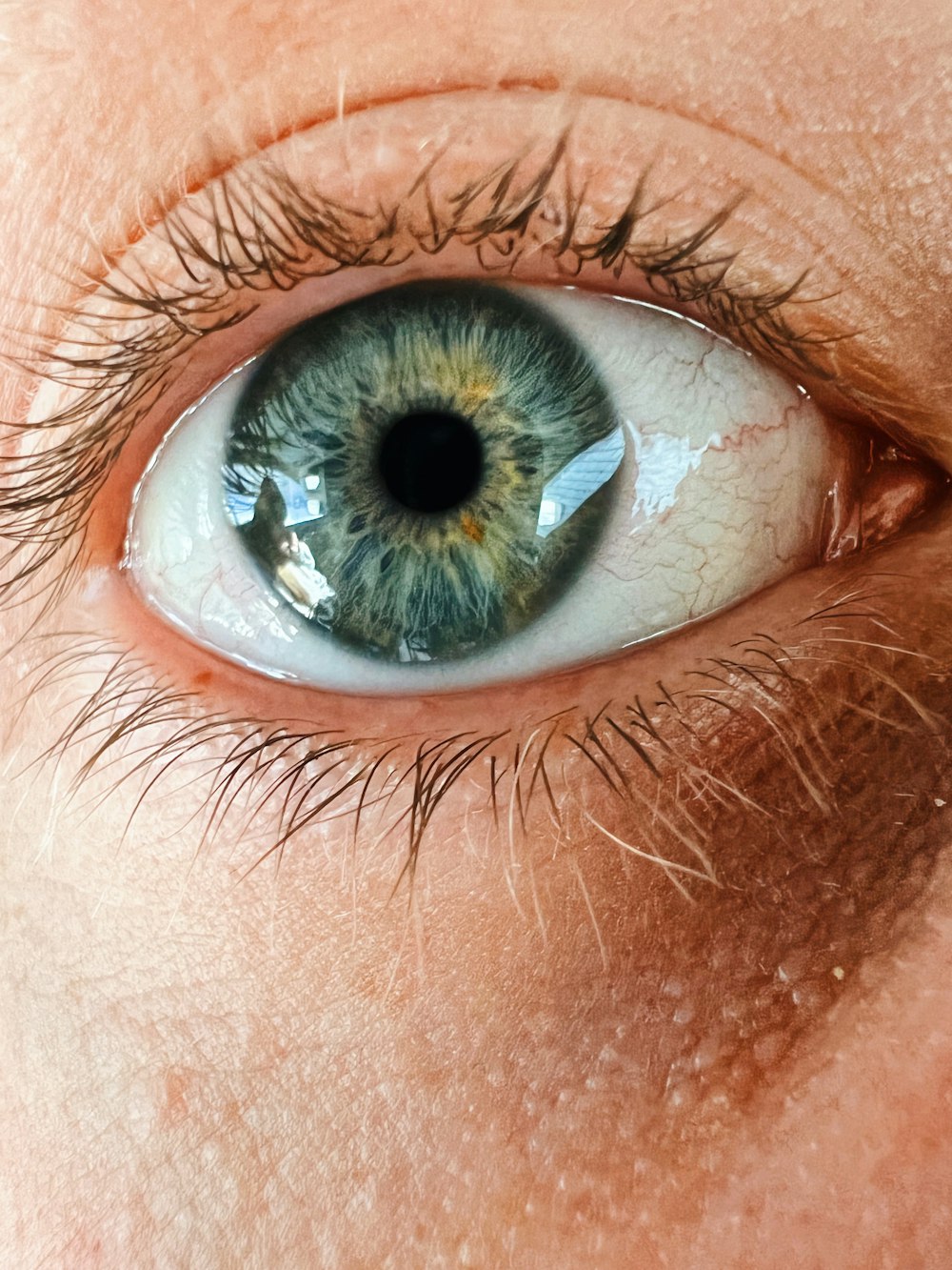 a close up of a person's blue eye