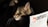 A tabby cat with greenish-yellow eyes is partially illuminated, surrounded by darkness. Its fur appears soft and well-groomed, with a noticeable pattern. To the right, a paper with the word 'ONTARIO' in bold letters and a maple leaf logo is visible, suggesting the cat is next to a document or brochure.