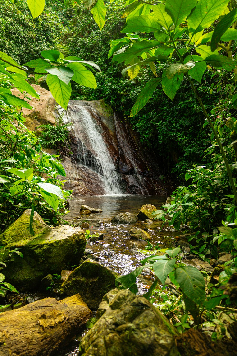 uma pequena cachoeira no meio de uma floresta