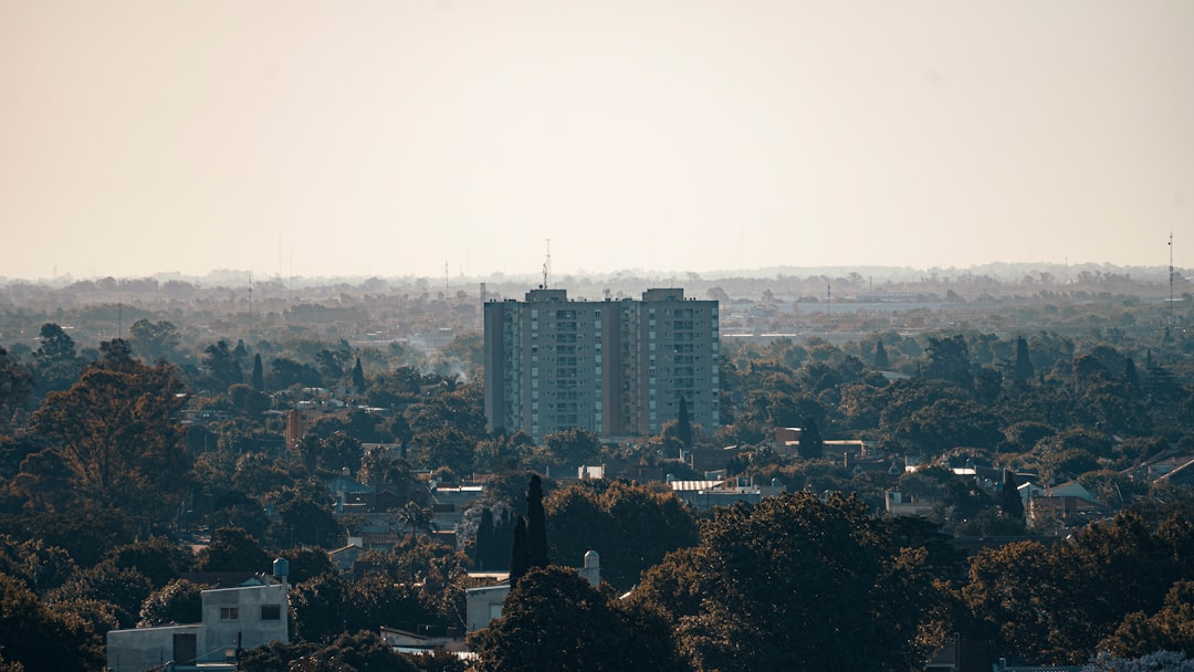 a city with a lot of trees and buildings,
