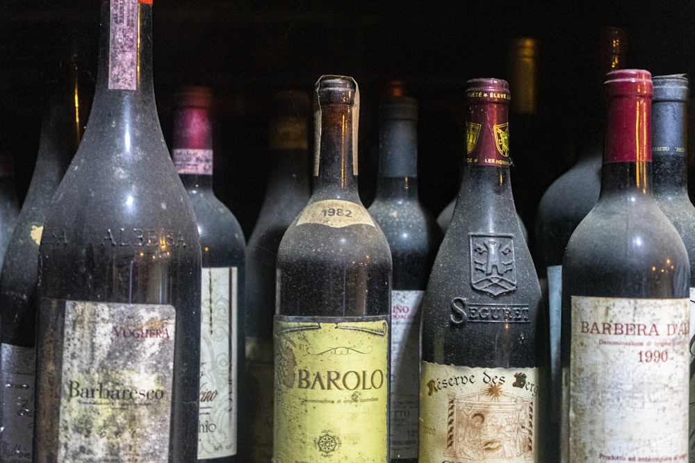 Varias botellas de vino están alineadas en un estante