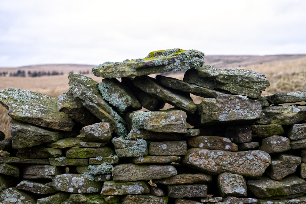 a pile of rocks sitting on top of a dry grass field