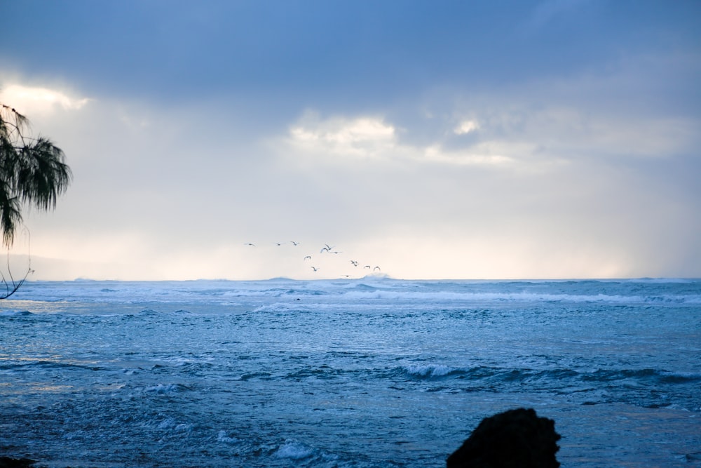 a group of birds flying over a body of water