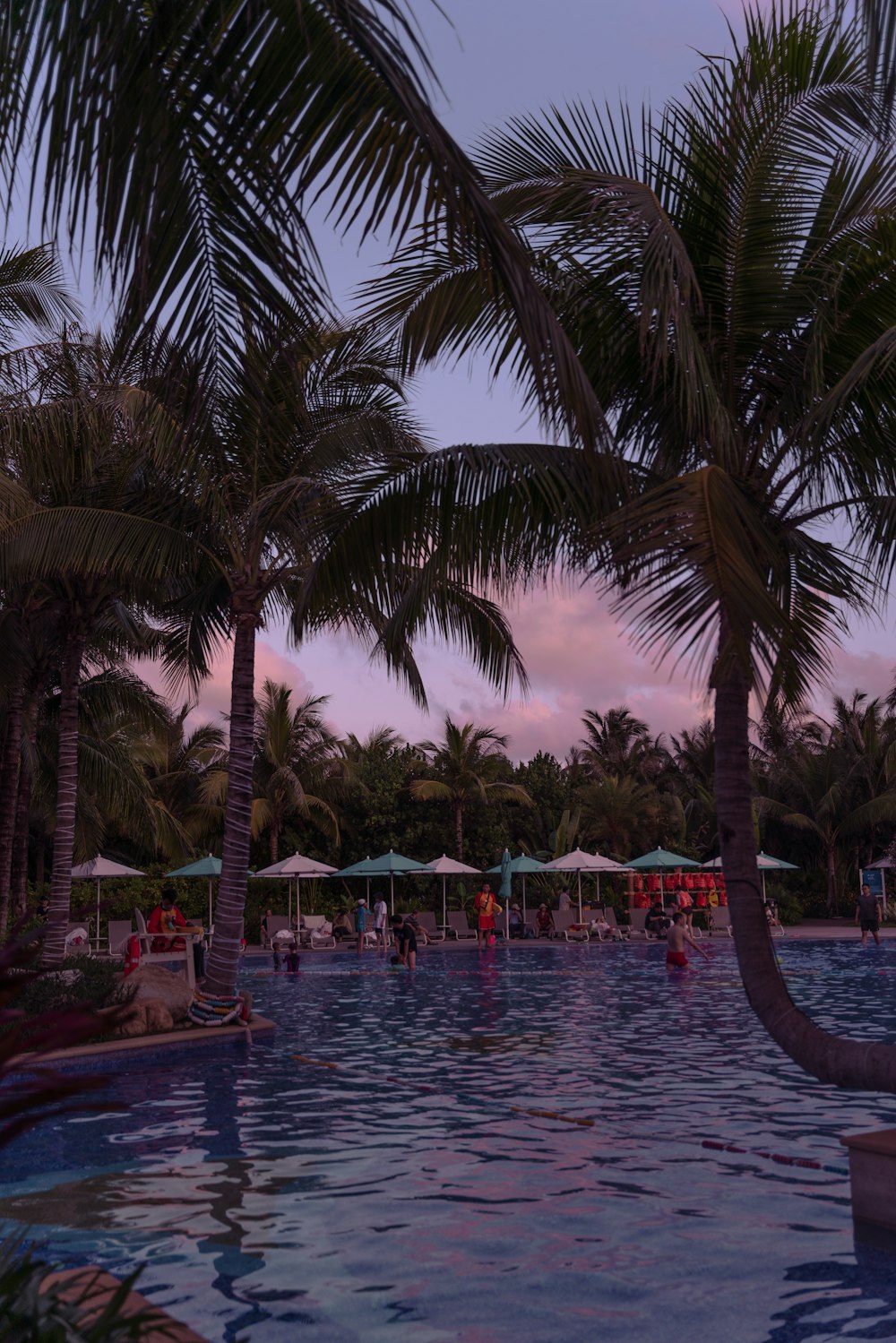 a large swimming pool with palm trees in the background