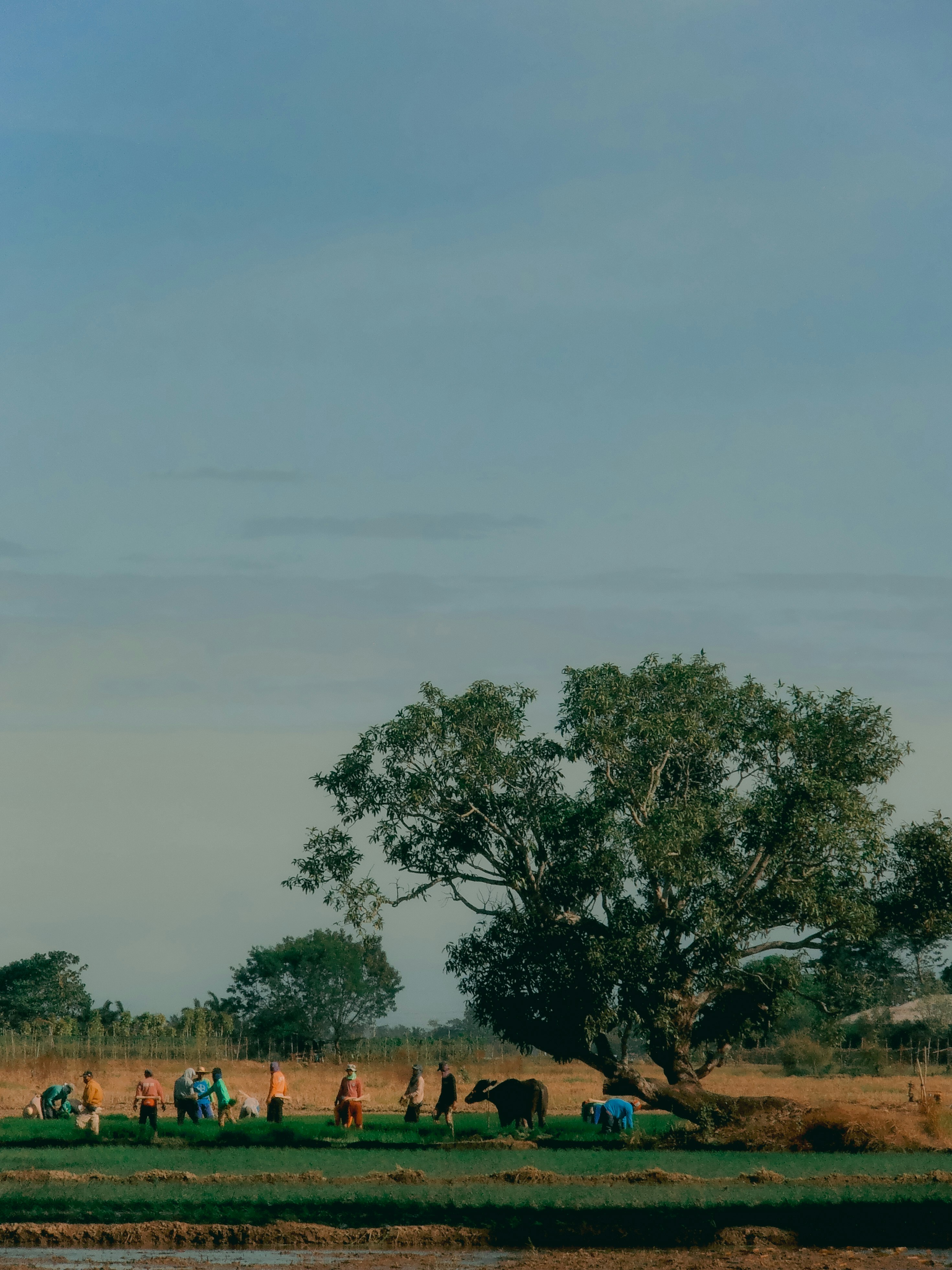 Photo by levinicodemus