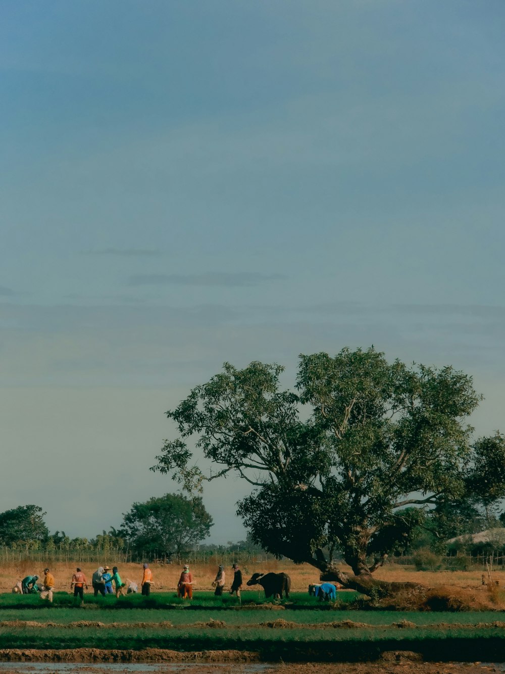 a group of people sitting on a grassy field next to a river