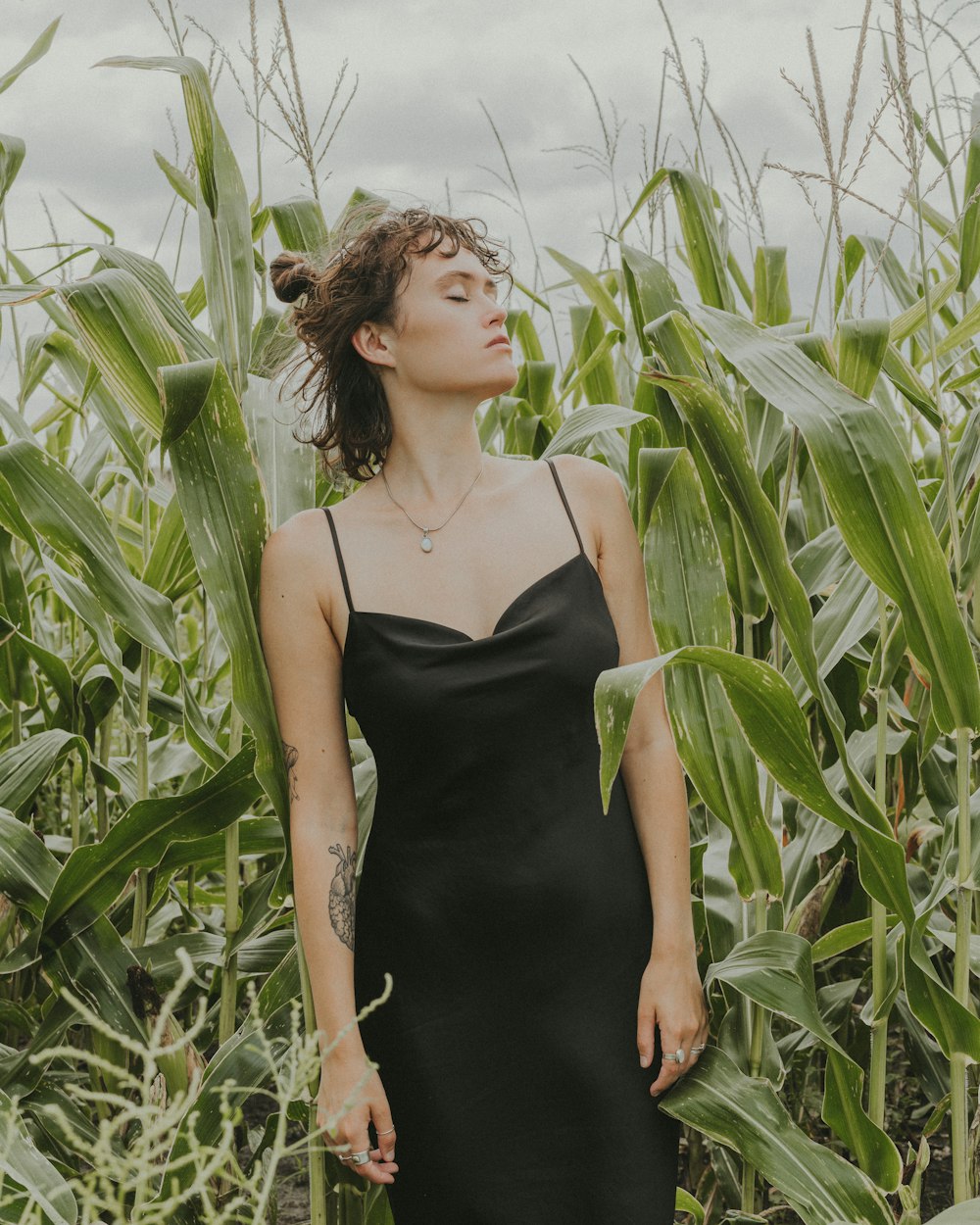 a woman in a black dress standing in a corn field