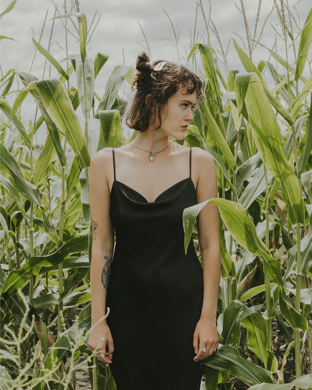 a woman in a black dress standing in a corn field