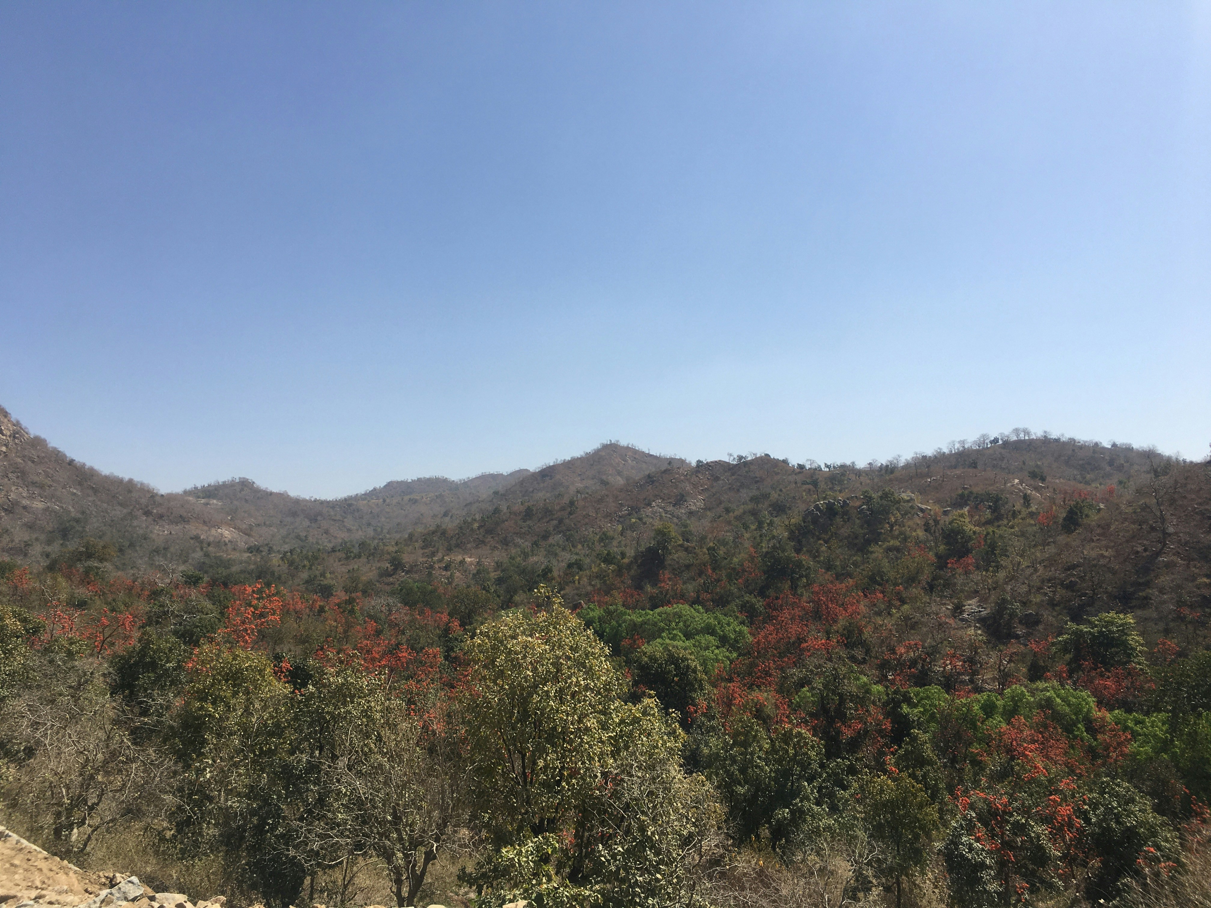 Photo by yashpatel8898