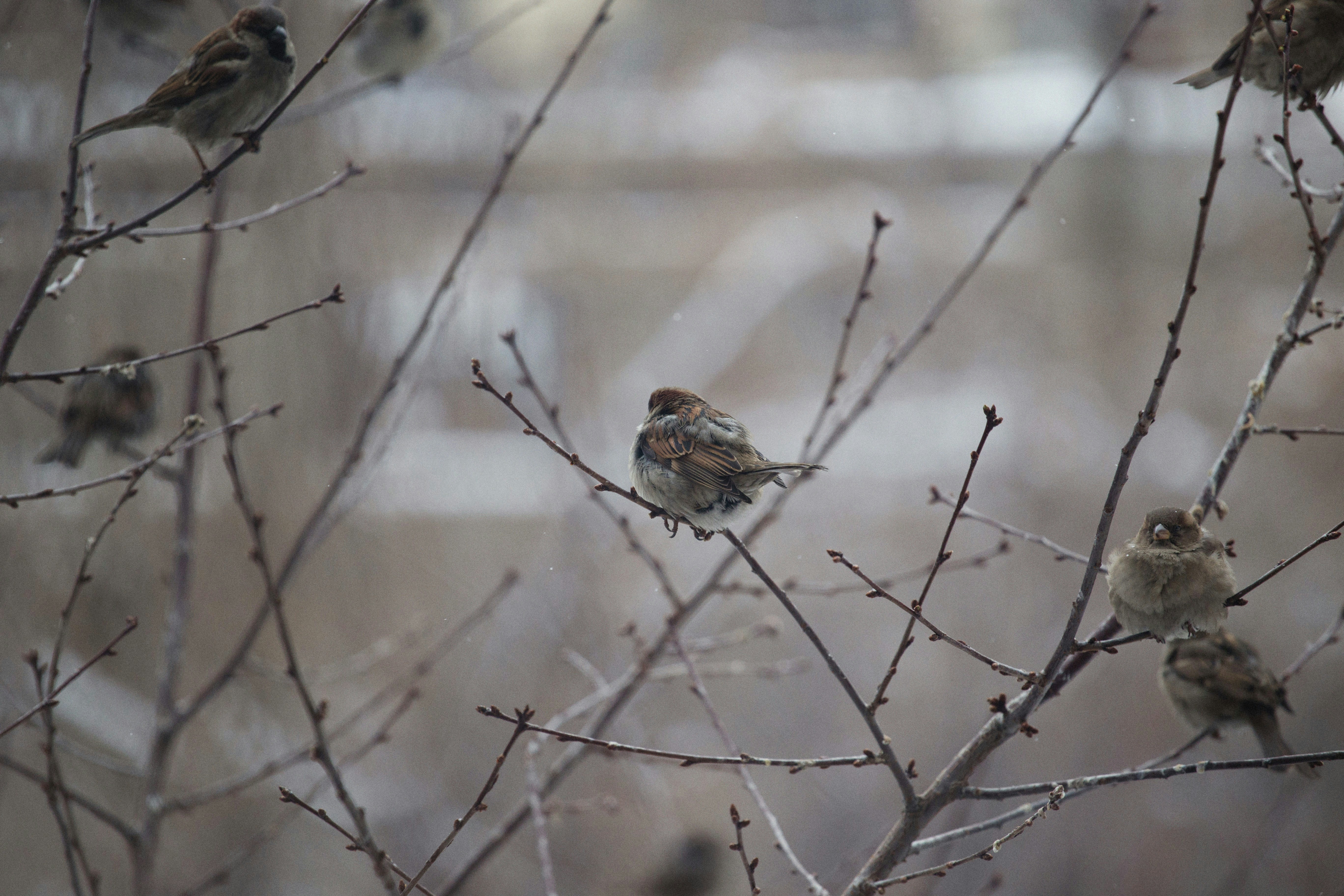 Photo by alexeydemidov