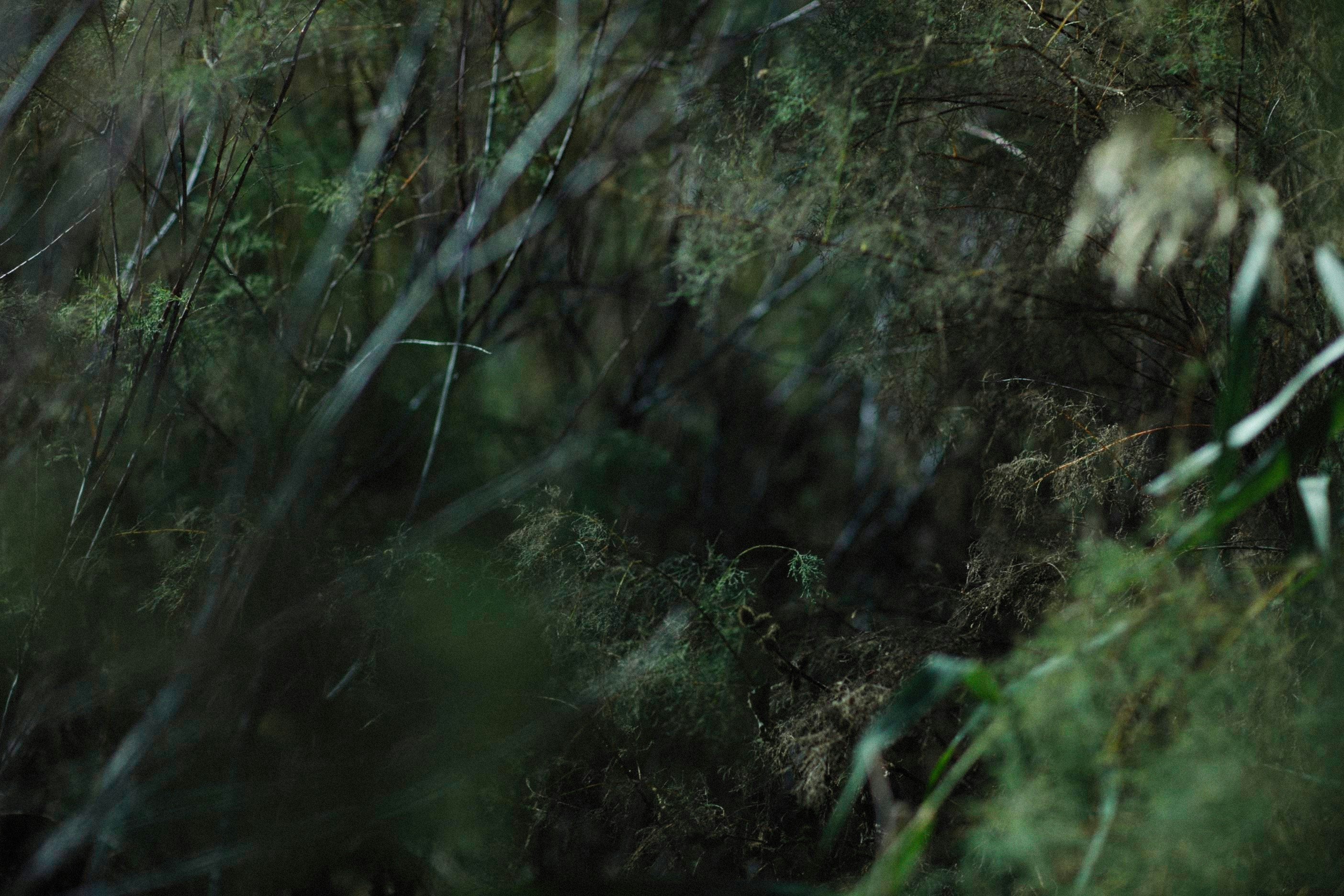 Photo by alexeydemidov