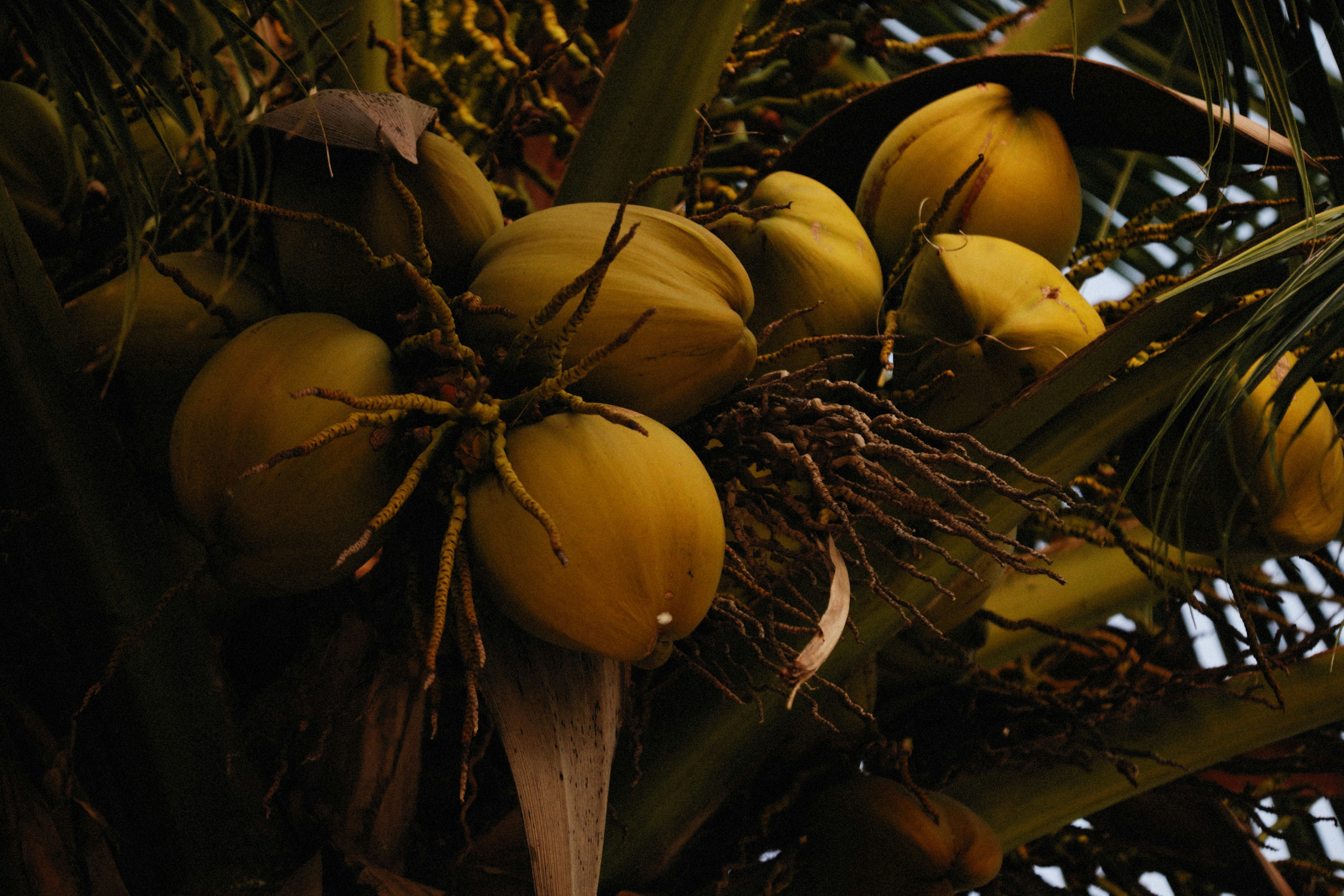 Photo by alexeydemidov